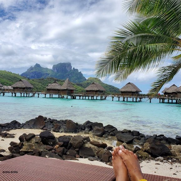 Meet your Posher, Janee - Picture 1 of 3